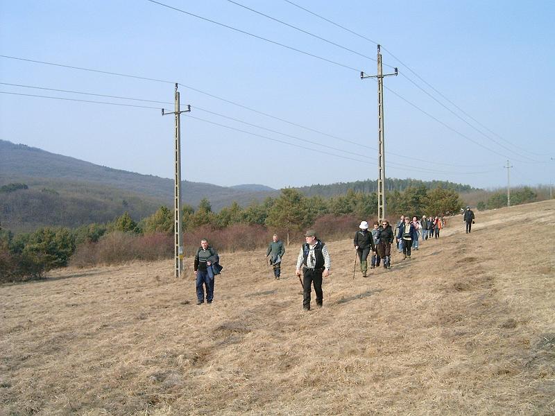 20110312 064.jpg